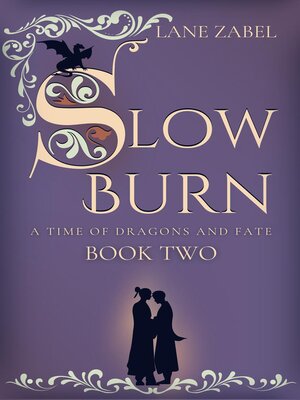 cover image of Slow Burn